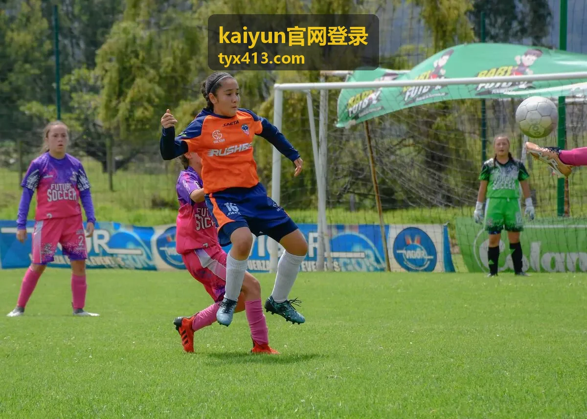 kaiyun官网登录登录环境检查示意