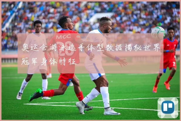 奥运会游泳选手体型数据揭秘世界冠军身体特征