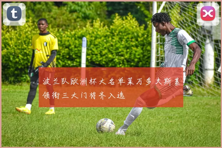 波兰队欧洲杯大名单莱万多夫斯基领衔三大门将齐入选