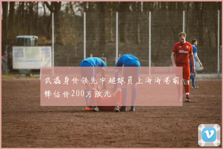 武磊身价领先中超球员上海海港前锋估价200万欧元