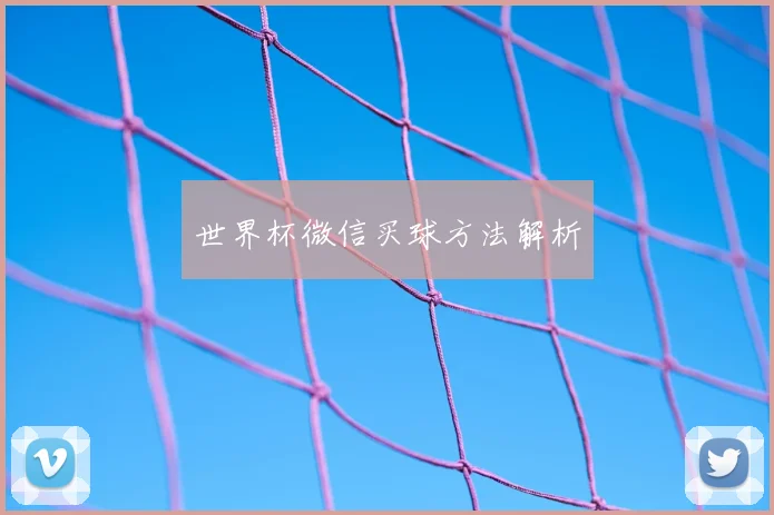世界杯微信买球方法解析
