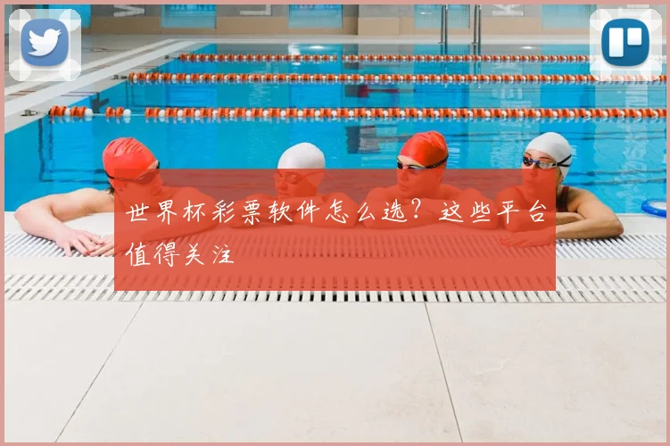 世界杯彩票软件怎么选?这些平台值得关注